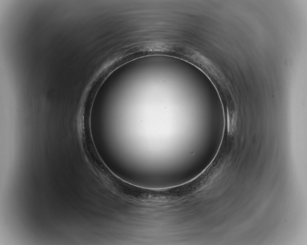 X0000099970531200805301335