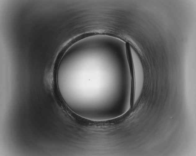 X0000099970532200805301335