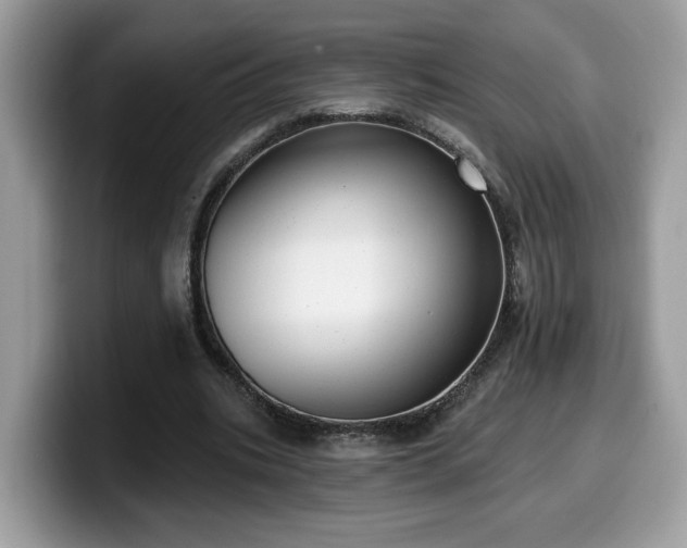 X0000099970535200805301335