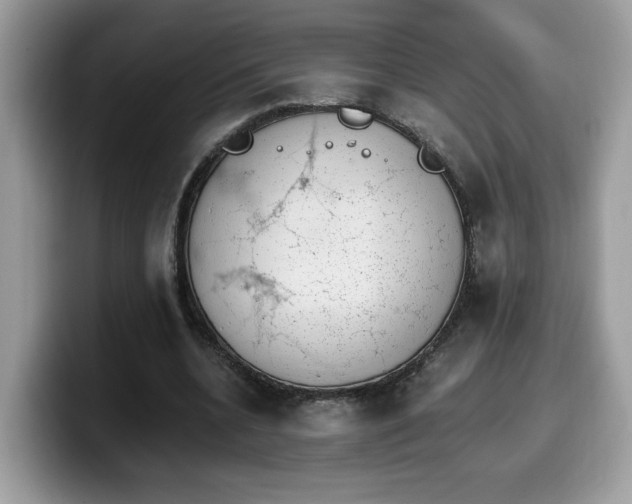 X0000099970536200805301335