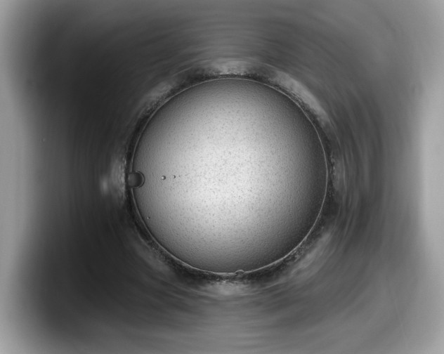 X0000099970537200805301336