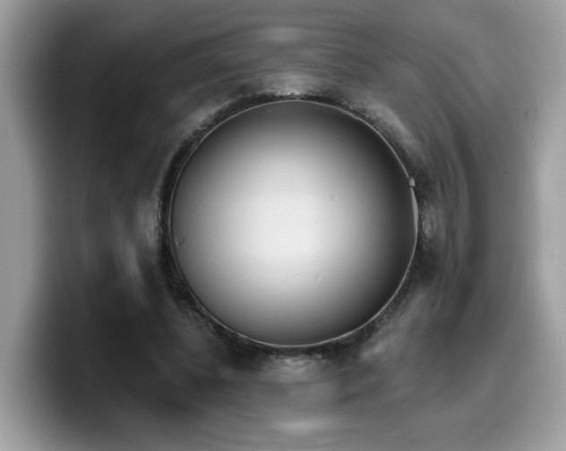 X0000099970540200805301336