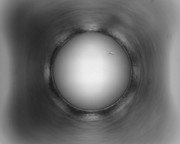 X0000099970541200805301336