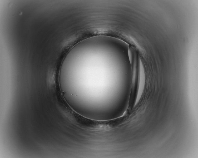 X0000099970543200805301336