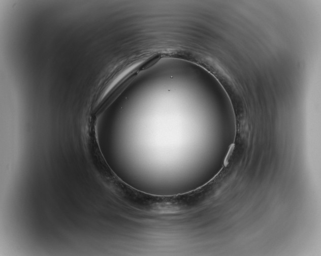 X0000099970544200805301336