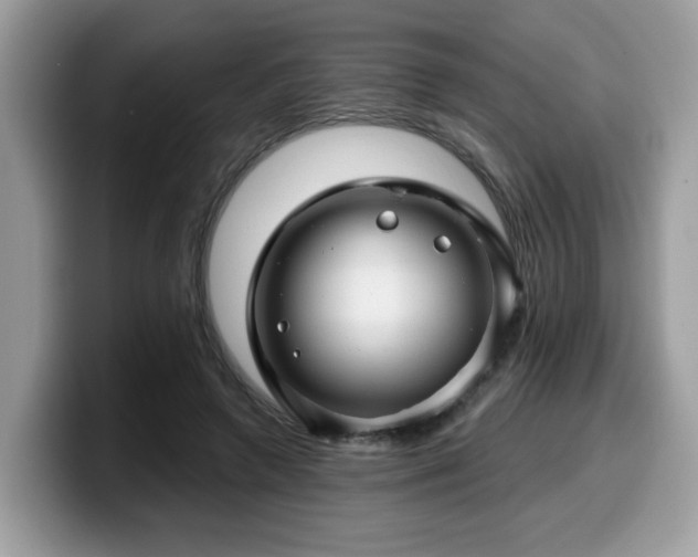 X0000099970546200805301336