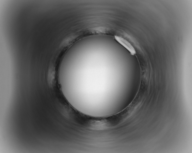 X0000099970548200805301336