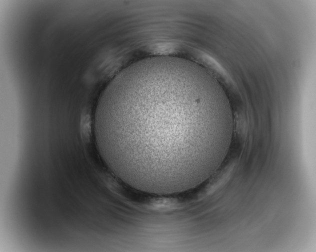 X0000099970549200805301336