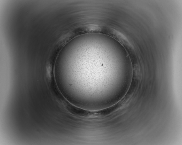 X0000099970550200805301336