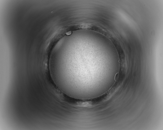 X0000099970553200805301336