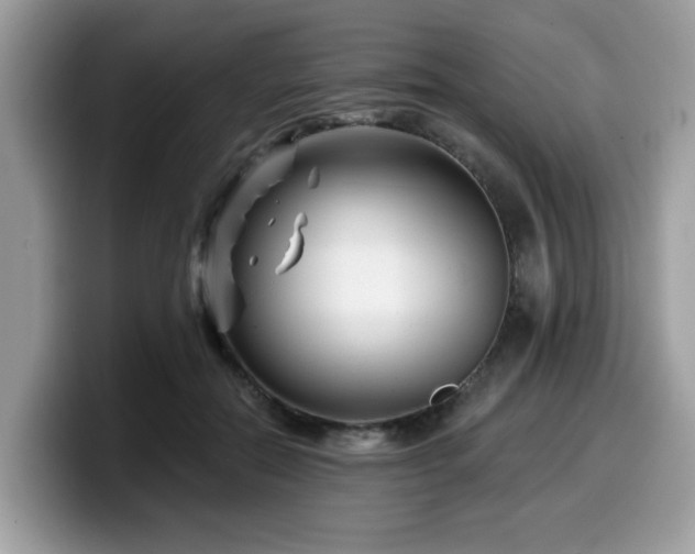 X0000099970554200805301336