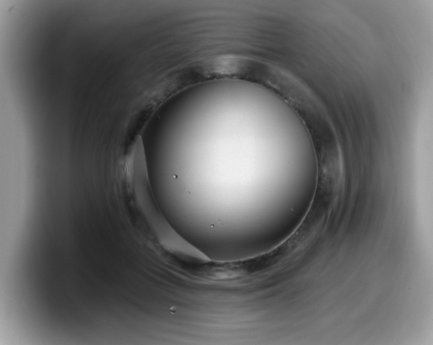 X0000099970555200805301336