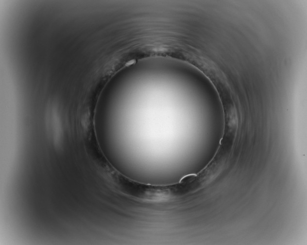 X0000099970559200805301336