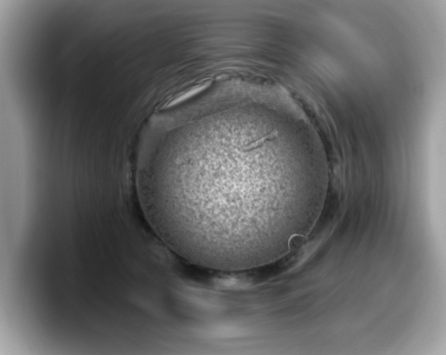 X0000099970561200805301336