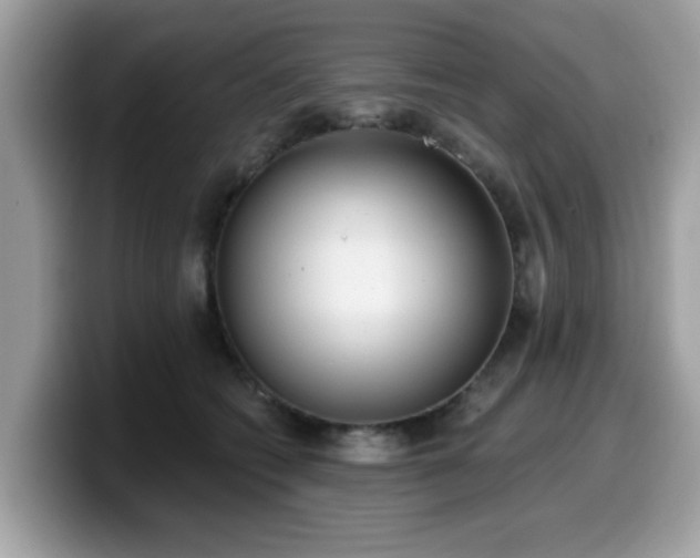 X0000099970562200805301336