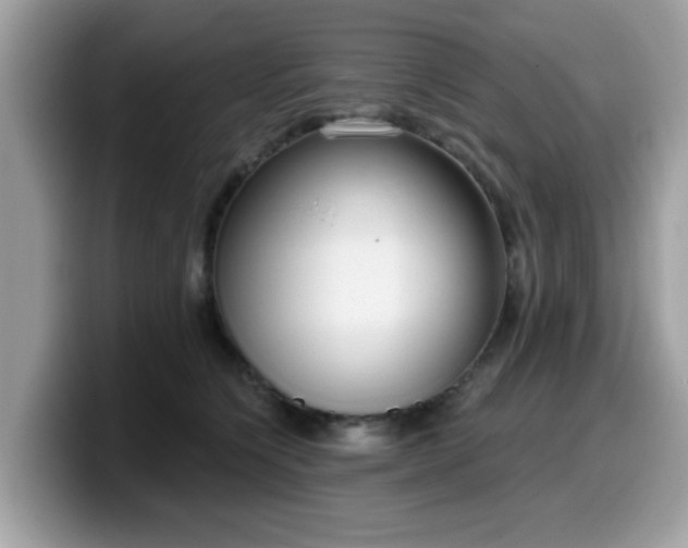 X0000099970564200805301336