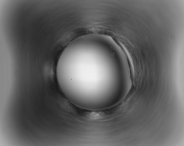 X0000099970566200805301336