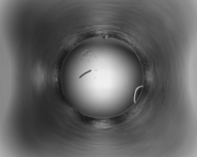 X0000099970567200805301336