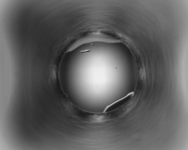 X0000099970570200805301336