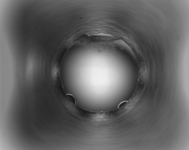 X0000099970574200805301336