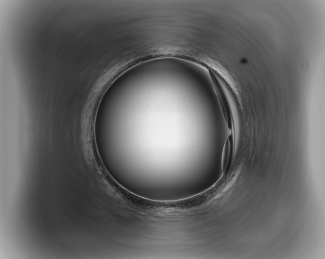 X0000099970577200805301335