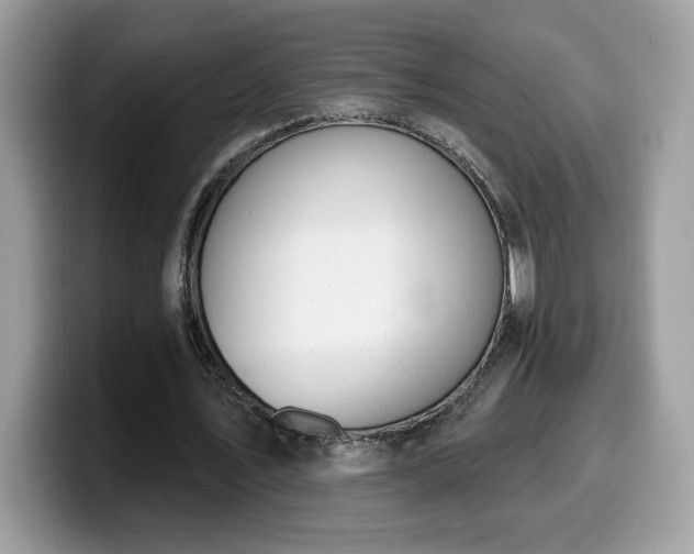 X0000099970579200805301335