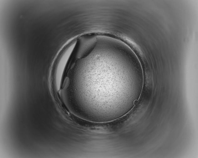 X0000099970580200805301335