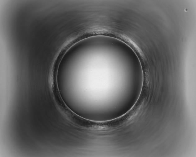 X0000099970582200805301335