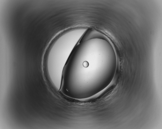 X0000099970584200805301335