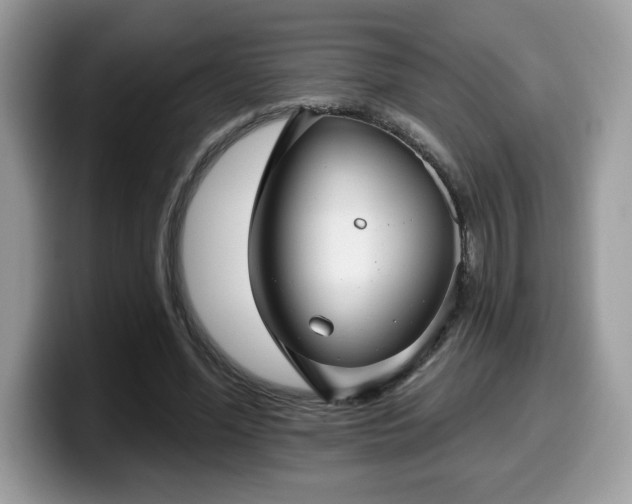 X0000099970588200805301335