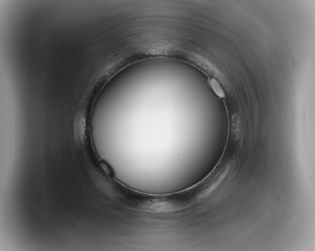 X0000099970589200805301335