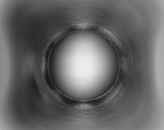 X0000099970590200805301335