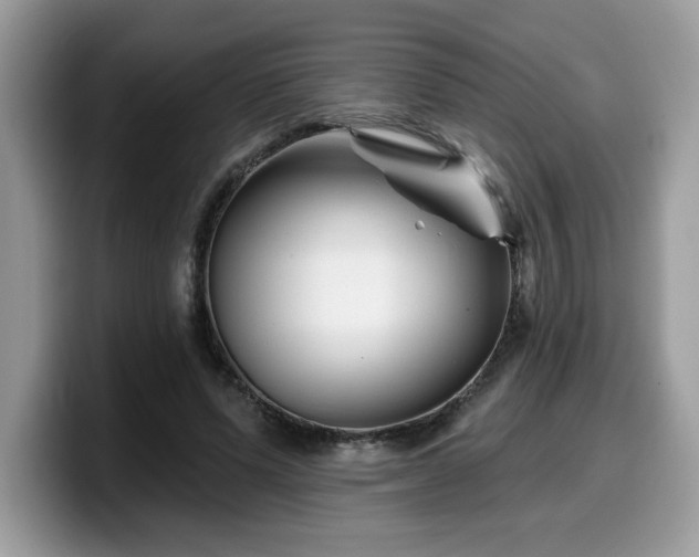 X0000099970591200805301335