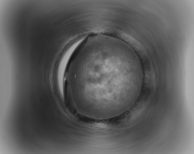 X0000099970592200805301335