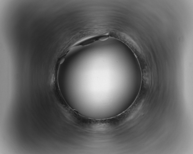 X0000099970593200805301335