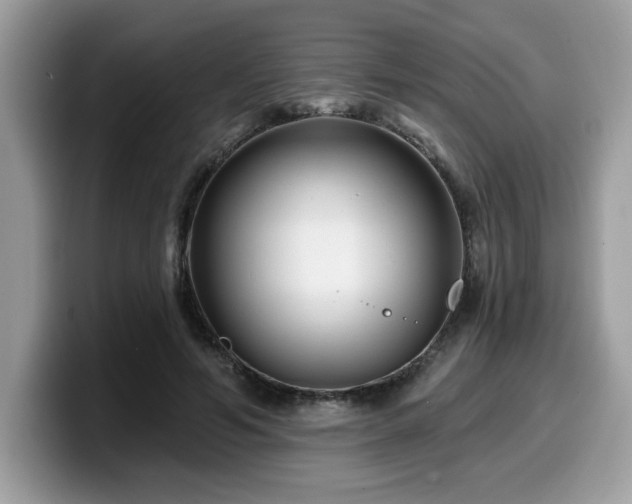 X0000099970594200805301335