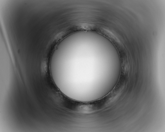 X0000099970595200805301335