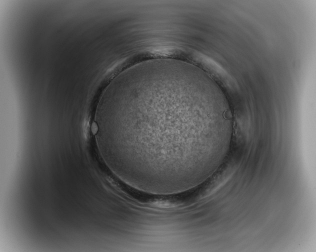 X0000099970596200805301335