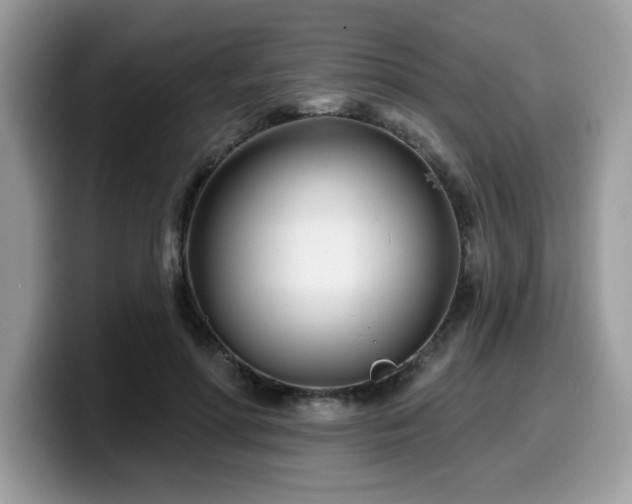 X0000099970598200805301335