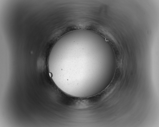 X0000099970599200805301335