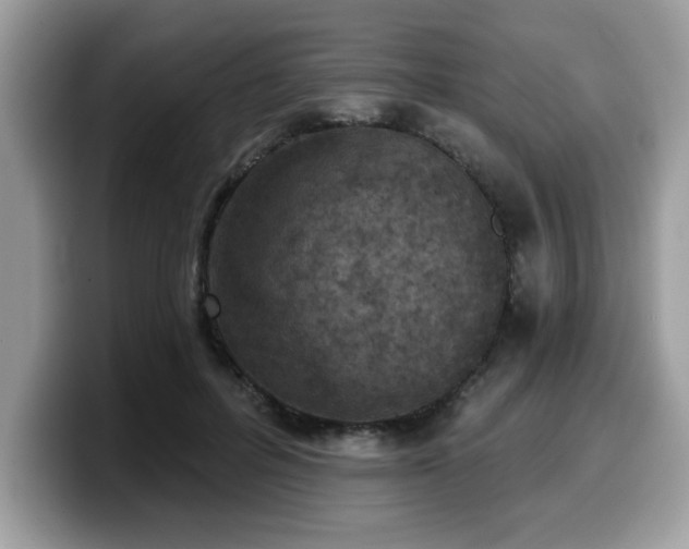 X0000099970600200805301335