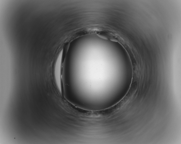 X0000099970601200805301335