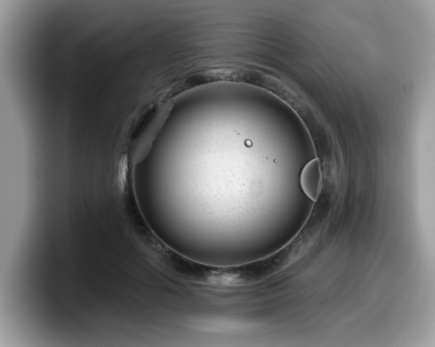 X0000099970602200805301335