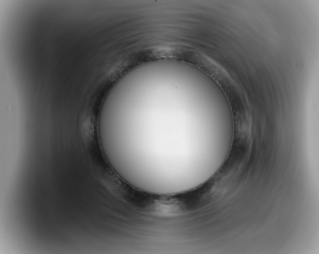 X0000099970603200805301335