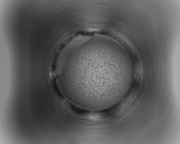 X0000099970604200805301335