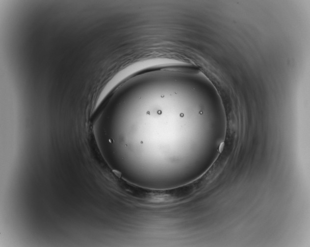 X0000099970605200805301335