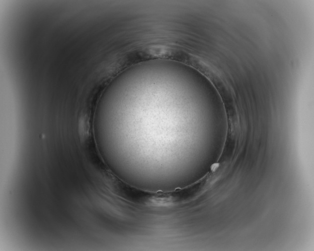 X0000099970606200805301335