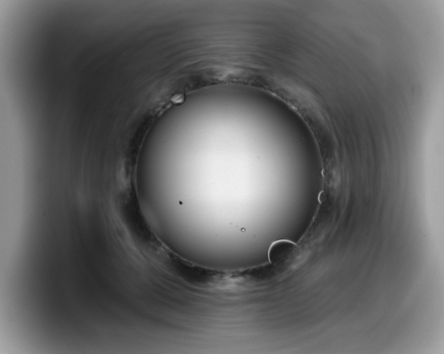 X0000099970607200805301335