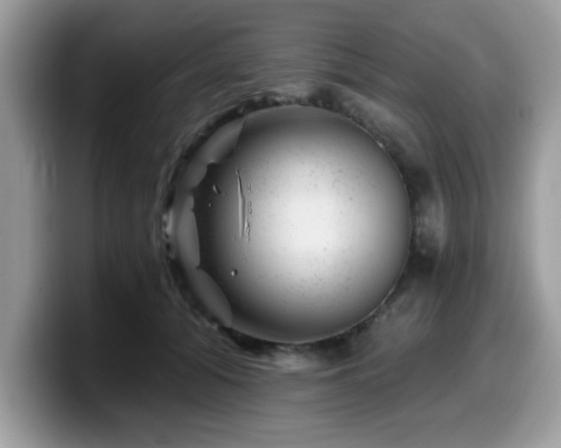 X0000099970608200805301335