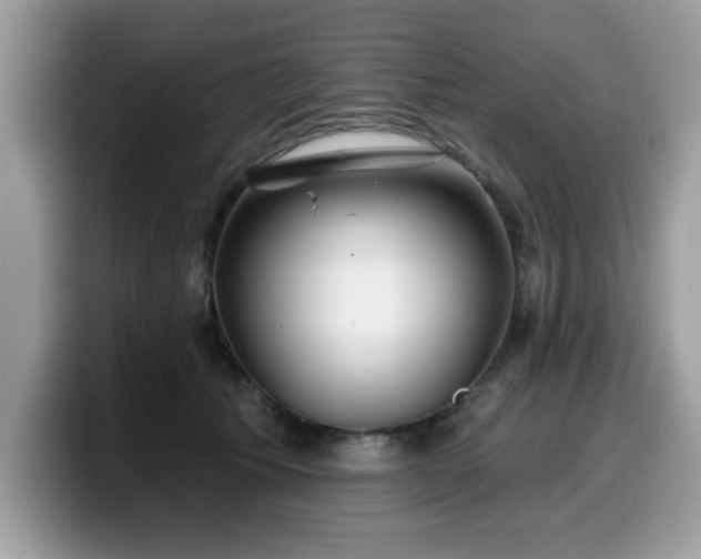 X0000099970609200805301335